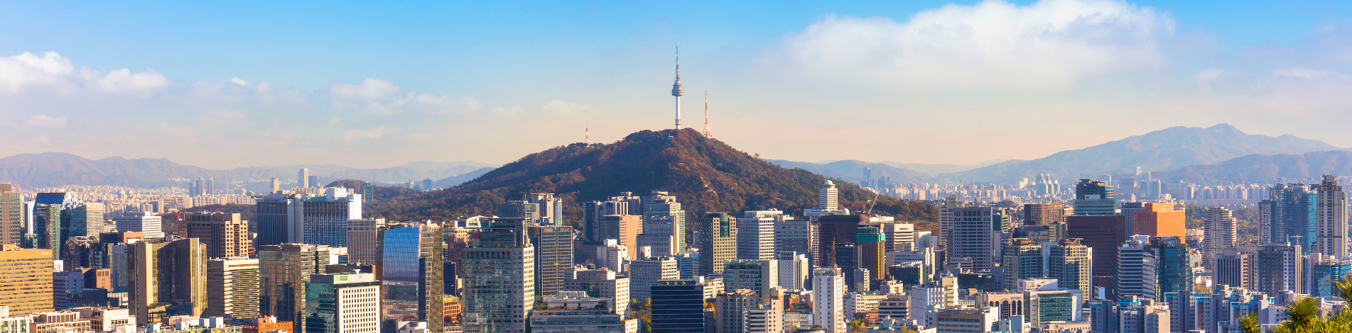 Seoul Skyline